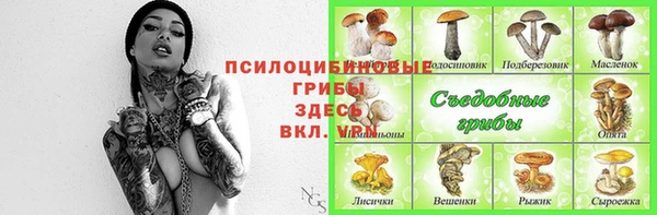 прущие крисы Арсеньев