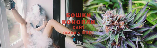 дживик Аркадак