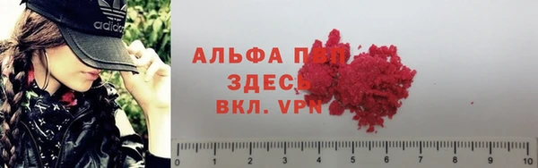 прущие крисы Арсеньев