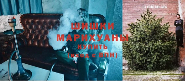 дживик Аркадак