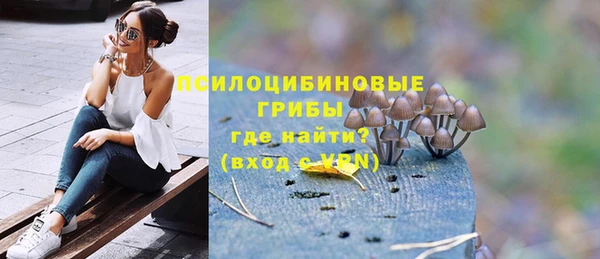дживик Аркадак