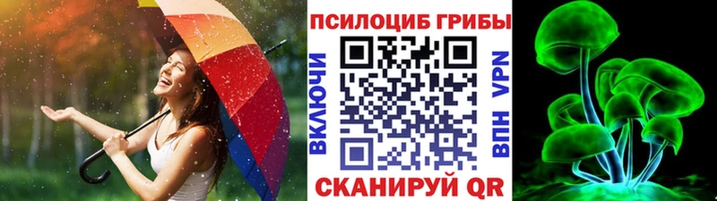 Псилоцибиновые грибы Psilocybine cubensis  Купить  Томари 
