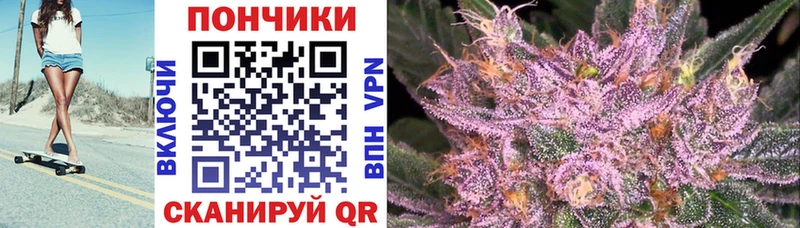 Бошки Шишки THC 21%  Купить где  Томари 